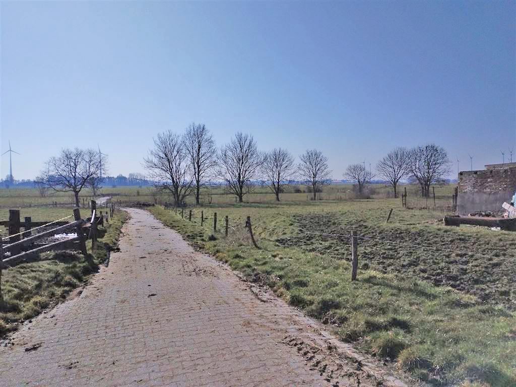 Rückansicht